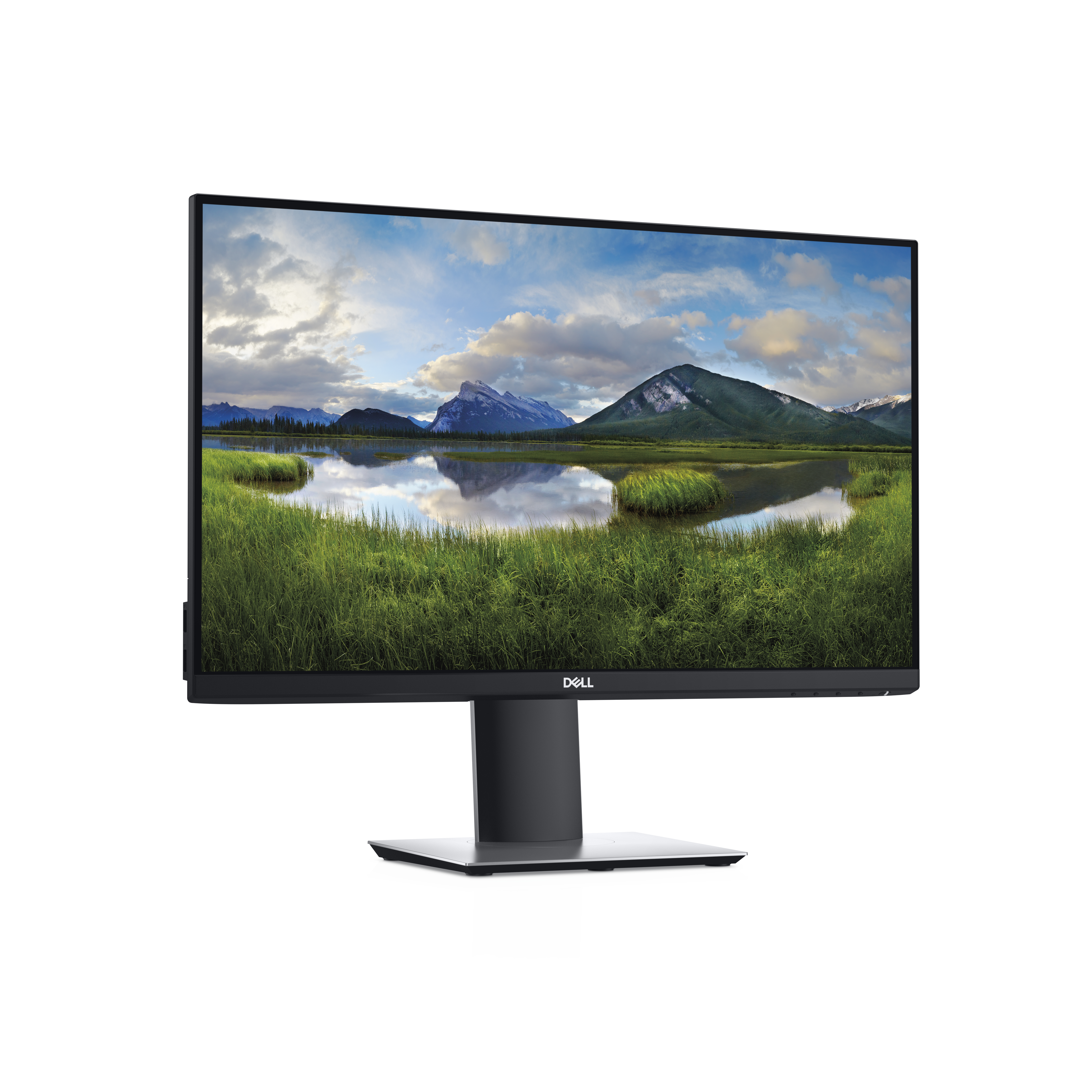 DELL P2419H